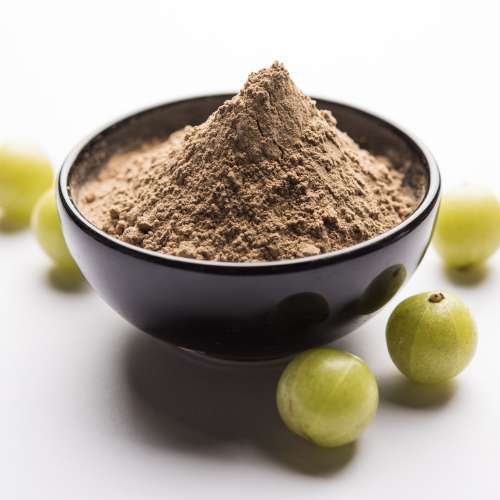 Vrundavan International