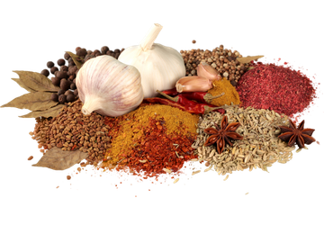 Vrundavan International