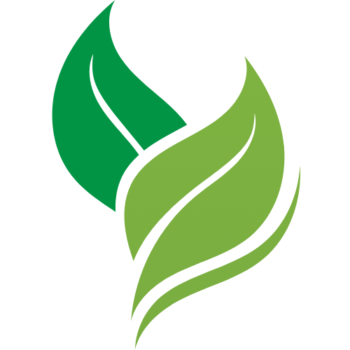 Vrundavan International