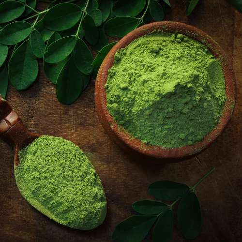 Vrundavan International