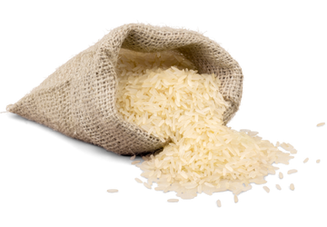 Vrundavan International