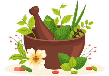 Vrundavan International