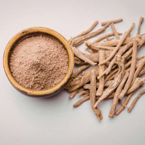 Vrundavan International