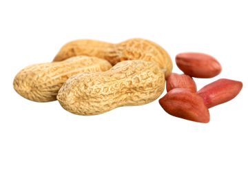 Vrundavan International