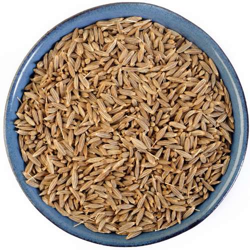 Vrundavan International