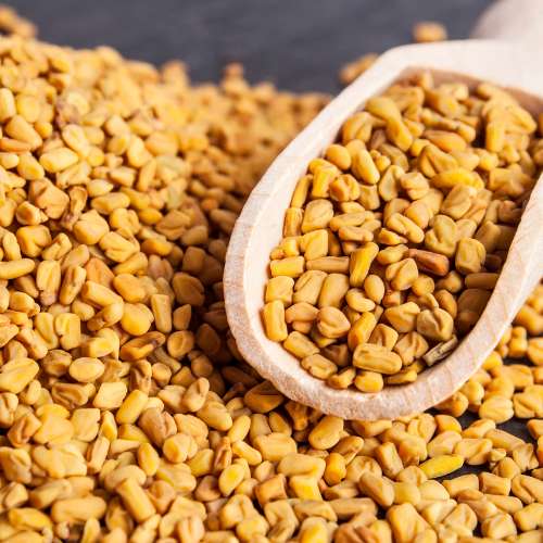 Vrundavan International